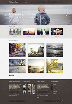 laogui采集到Wordpress themes