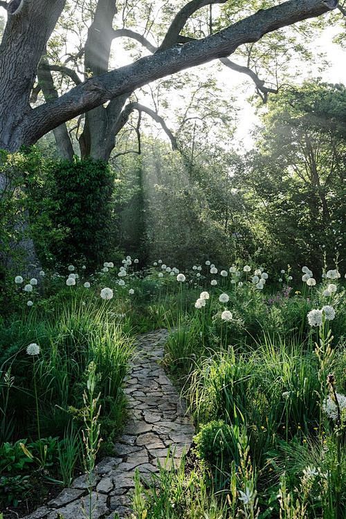 Cobblestone Path, Pr...