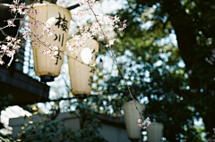 ♥锋雨同露♀采集到灯火阑珊