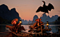 cormorant-fishing_2880x1800_sc