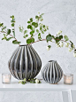 Graceful Ceramic Vases: 
