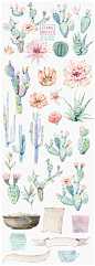 仙人掌 芦荟 仙人球 banner 盆栽 杯子 纸 CACTUSES again and again  - Illustrations - 2