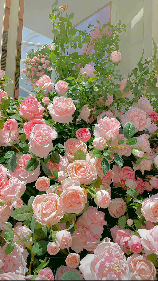 壁纸 玫瑰 小清新 春天