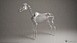 manuel-f-cedeno-manuelf3d-horse-skeleton-3d-beautyrender