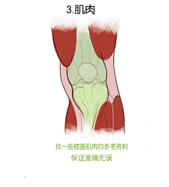 Zhaojia采集到人体 