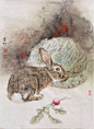 2011-17兔有菜4.jpg