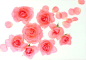 影棚拍摄,室内,植物,粉色,花_74850086_Close-up of pink roses._创意图片_Getty Images China