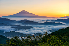 sd2015采集到海报背景、节气、风景