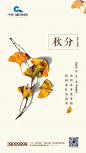 中交-蓝色海湾 地产微信 节气微信 秋分