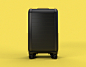 Trunkster Luggage at werd.com