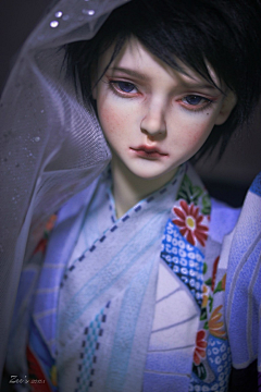 鸬白采集到bjd