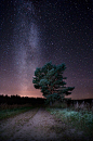 晚风轻抚如纱，
顺肤微凉丝滑，
漫野星光璀璨，
夜色深深，
魂梦杳杳天涯。