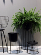 La maison d'Anna G.: Maison&Objet 2015 #1 The Green Trend: 