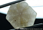 翌楝Shanky达碧兹水晶Trapiche quartz