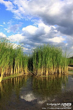 xiaoaogongji采集到明十三陵_夏日水边小景,