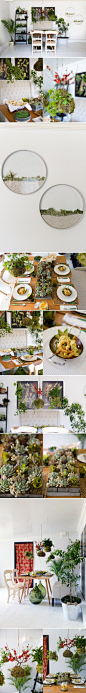 #婚礼创意# 多肉植物的桌花、墙上装饰，与悬挂的植物花艺结合的自然餐桌区景观装饰 http://t.cn/8DFyeMC (共9张图片) 收集于@最佳婚礼灵感