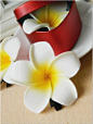 特价不包邮  度假必海滩 巴厘岛风情鸡蛋花发饰边夹头花 度假花