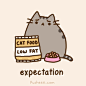 Pusheen the cat : =＾● ⋏ ●＾= Meow! I am Pusheen the cat. This is my blog. (more...)