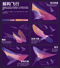 西瓜DA☆ZE采集到信息图·数据