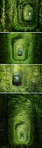 乌克兰的“爱之隧道” Tunnel of Love  一条地球上最美的火车隧道被誉为当地的爱情圣地。一对情侣慢慢走过，在这里许下的承诺应该毕生难忘…