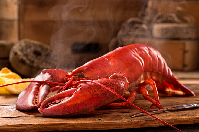 Steamed Lobster by d...