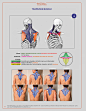 anatomy for sculptors-47