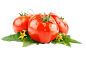 番茄 西红柿  果蔬  蔬菜 png