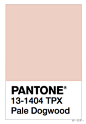 《Pantone 2017春夏十大流行色》，颜色排行：1.Niagara（尼加拉蓝）2.Primrose Yellow（樱草黄）3.Lapis Blue（青金石蓝） 4.Flame（火焰红）5.Island Paradise（岛屿天堂蓝）6.Pale Dogwood（淡山茱萸粉）7.Greenery（草木绿）8.Pink Yarrow（蓍草粉红）9.Kale（羽衣甘蓝绿）10.Hazelnut（臻果褐）