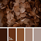 Lovely restrained palette paints, personify the ground. Brown symbolizes reliability, stability, security. It is very suitable to create a home-like atmosphere. The combination of pastel beige and dark brown shades - a harmonious combination. It looks per