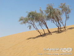 cylplyrcp采集到沙坡头_沙，沙丘，沙漠,