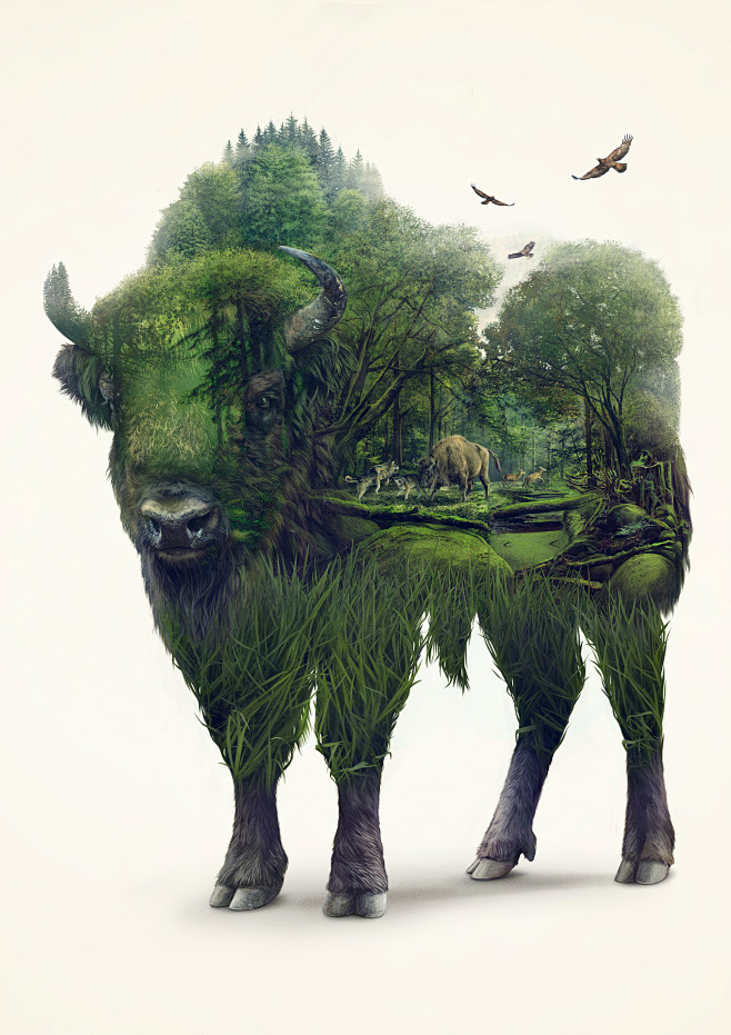 Digital Art: Bison b...