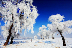 arsong采集到雪景热门景点推荐_雪景