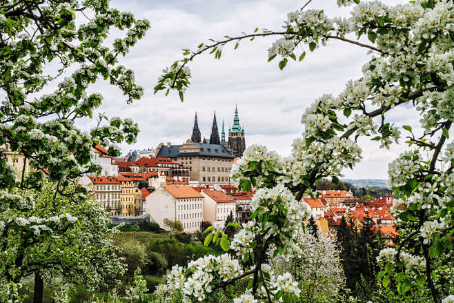 Spring in Prague by ...