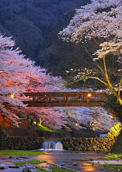 翠玉竹林采集到景