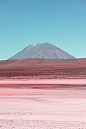 alpaca animal infrared LAMA Landscape Nature peru pink red wild