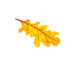 秋季元素 叶子 枝干 秋季花环 无缝图案 png素材