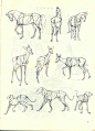 马，鹿，狗
赓•郝尔托格伦《动物画技法》  
