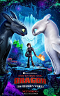 How to Train Your Dragon: The Hidden World Movie Poster