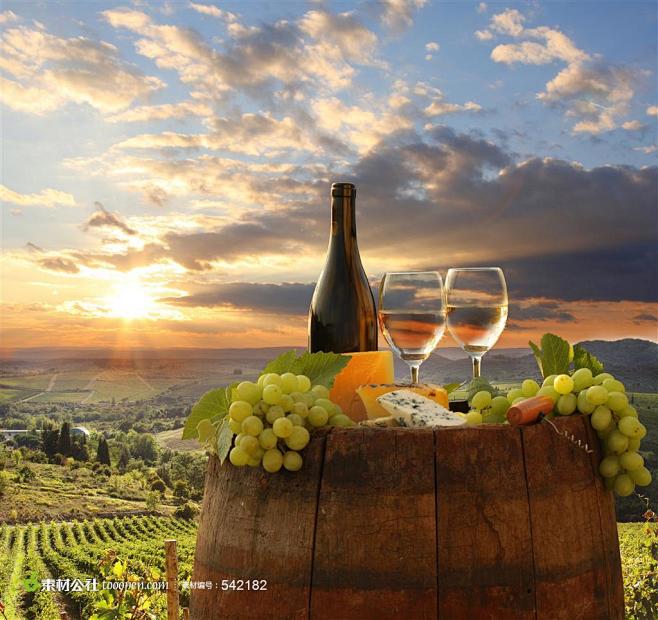 阳光下葡萄园的葡萄奶酪和葡萄酒图片素材