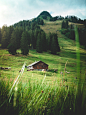 Lost in Switserland. photo by Bruno van der Kraan (@brunovdkraan) on Unsplash : Download this photo in Switzerland by Bruno van der Kraan (@brunovdkraan)