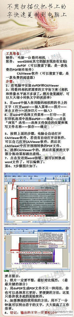 吃石头鱼的猫采集到生活技巧