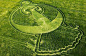 在英国威尔特郡迪韦齐斯地区的一片大麦田中，出现了一个400英尺(约合121.9米)长的凤凰形状麦田怪圈。一位麦田怪圈研究专家认为,凤凰是富有神话色彩的，在许多国家都代表着重生和新时代的到来，这个怪圈可能和玛雅预言不谋而合。
