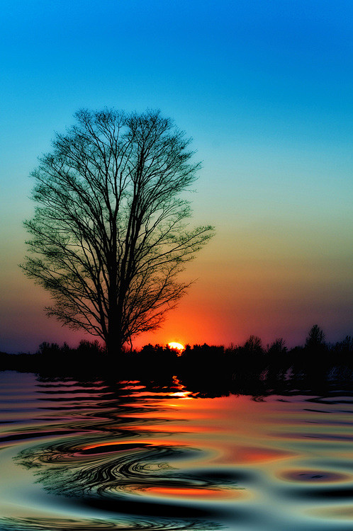 Sunset Reflection, O...