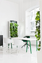 室内植物装饰设计6200例丨绿色植物盆栽草花装饰参考图片素材资源-淘宝网