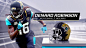 NFL Network: "NFL AM" Show Package on Behance: 