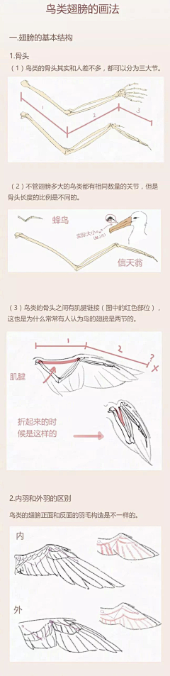 风之首恶FZSE-风采集到教程尼玛