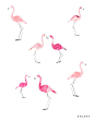 pastel pink flamingos