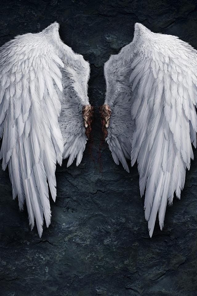iPhone 天使的翅膀20120418...