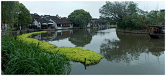 烟雨兰花采集到烟雨江南