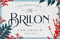 Brilon Font : Brilon is an elegant serif font inspired by the Art Deco era. It perfectly represents vintage esthetics in a modern and minimalist way. The font includes special uppercase letters, alternate characters and beautiful ligatures. Furthermore it